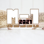 M1グランプリ2021【20年の歴史・漫才の頂点】